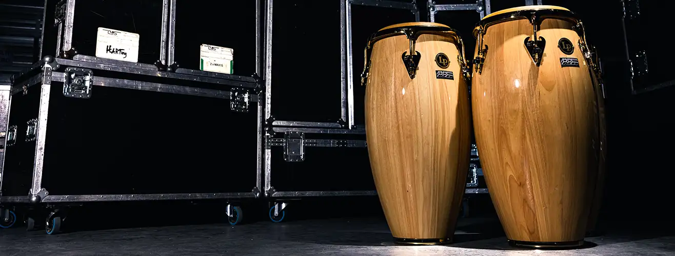 Bongo LP en location chez Normandie Backline